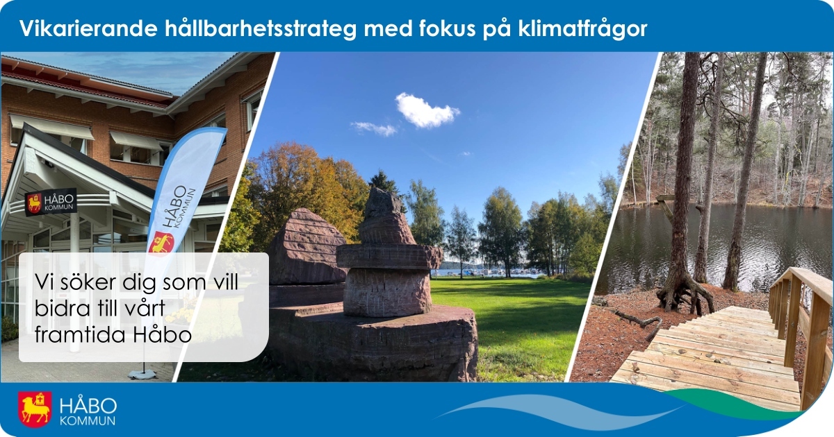 Toppbild Vikarierande hållbarhetsstrateg med fokus på klimatfrågor.jpg