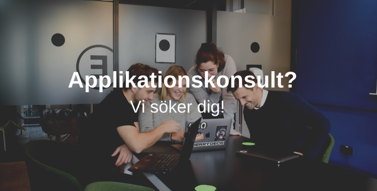 Applikationskonsult 