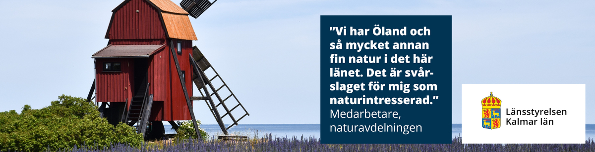 Natur - Öland och fin natur