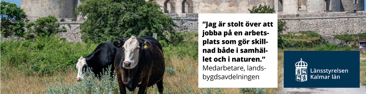 Landsbygd, natur - skillnad i samhället och naturen