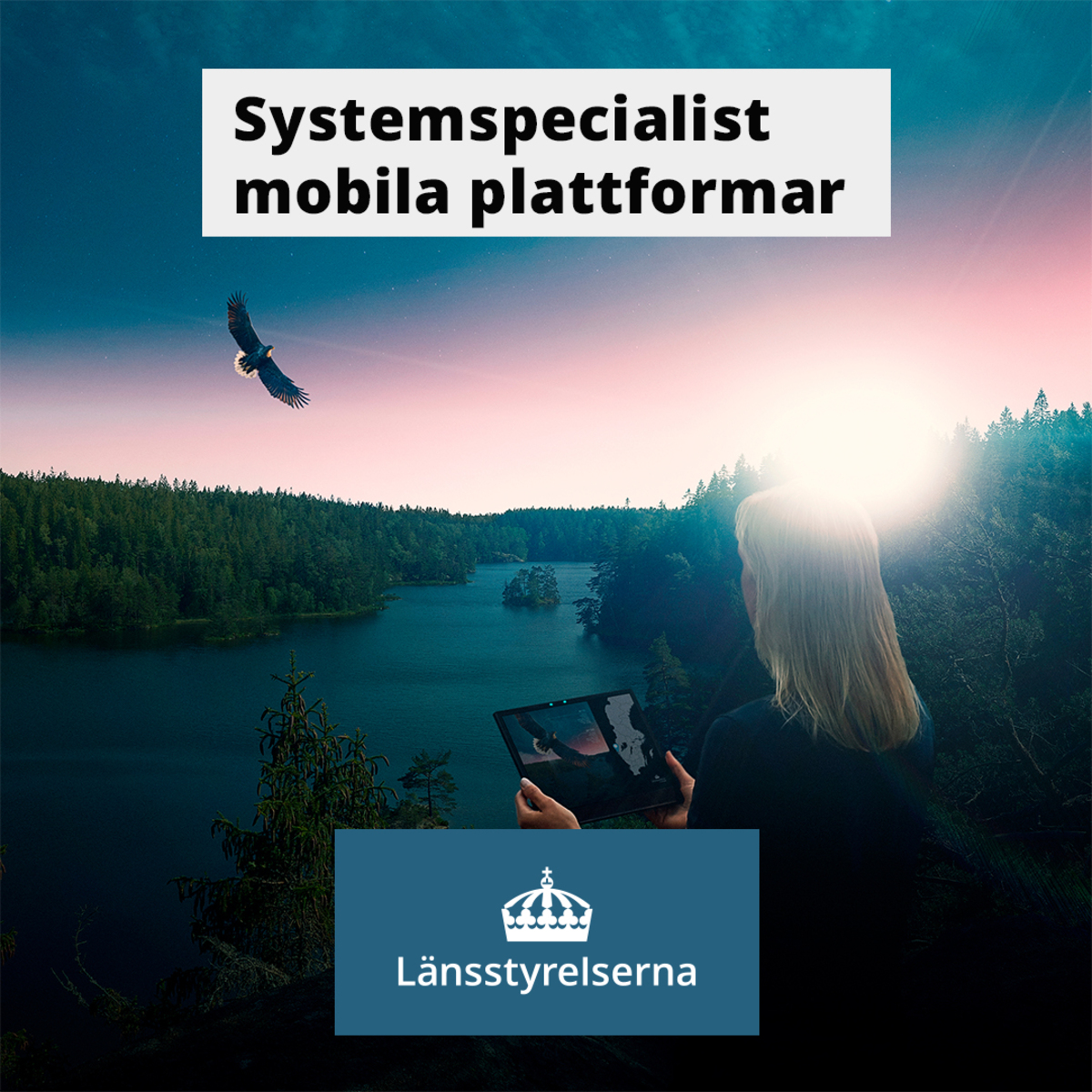 Systemspecialist mobila plattforma, med logga.jpg