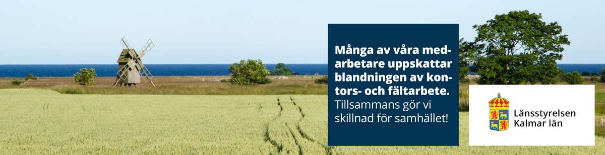 Landsbygd - kontor och fält 