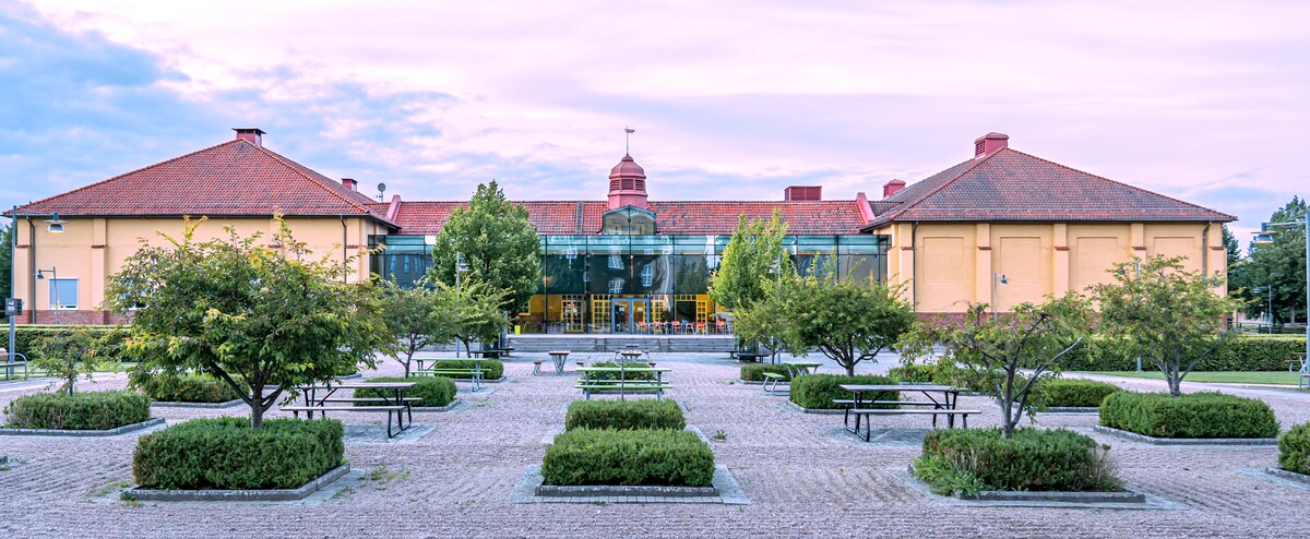 campus solnedgång 2.jpg