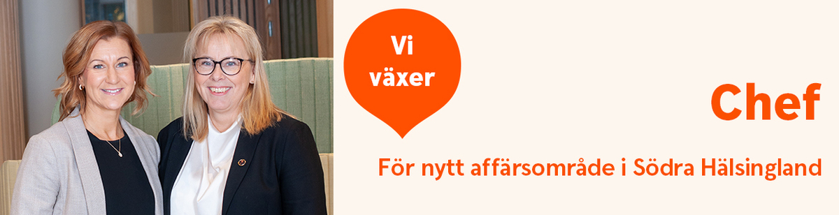 1170x300 Södra Hälsingland.jpg