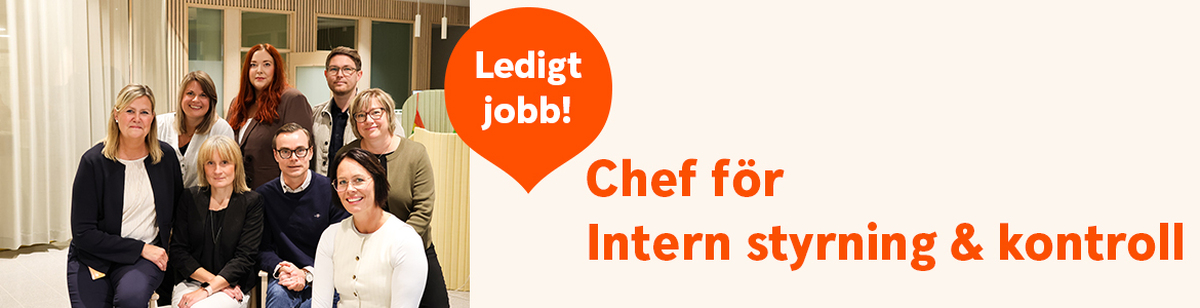 Intern styrning och kontroll.jpg