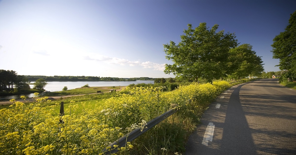 Väg Älvkarleby - Soc.medier.jpg