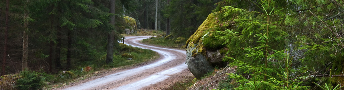 Slingrande-skogsvag.jpg