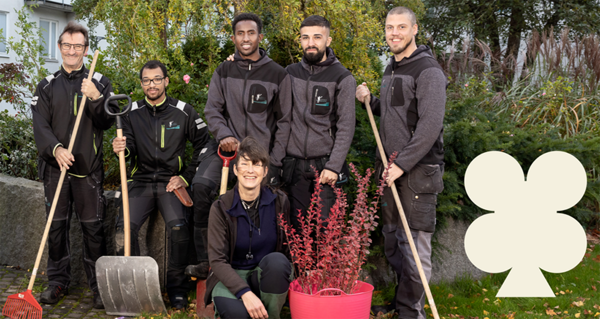 MV Väster 1024 x 545 beige.png