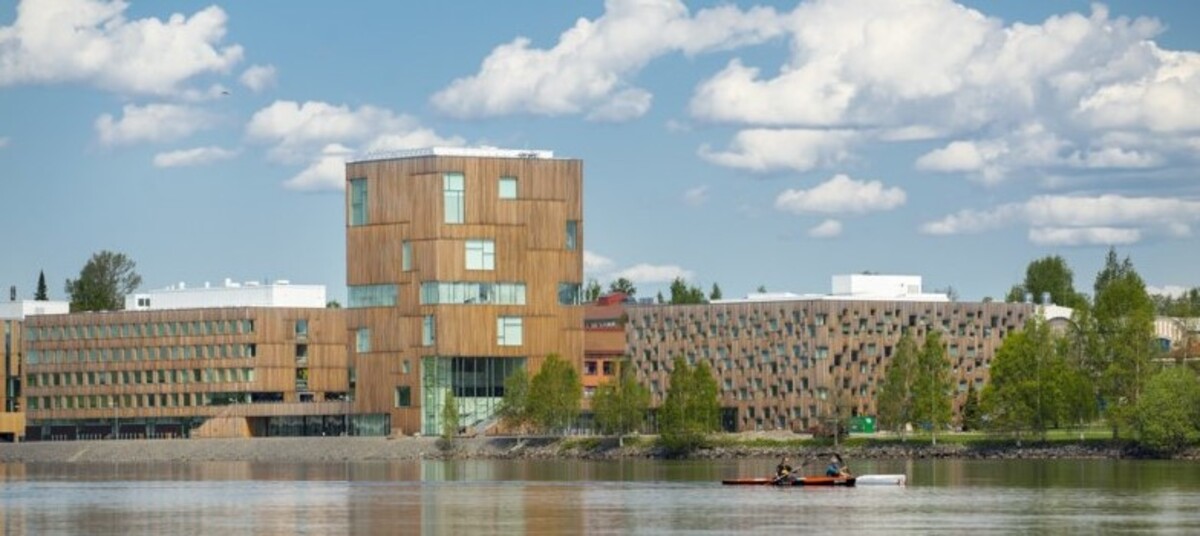 en somrig bild av konstnärligt Campus där människor paddlar längst Umeälven.