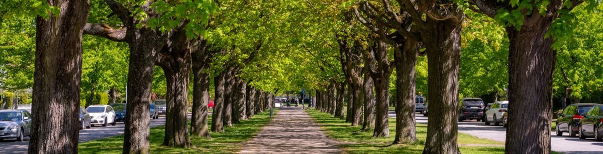 st gertruds esplanad2 (2).jpg