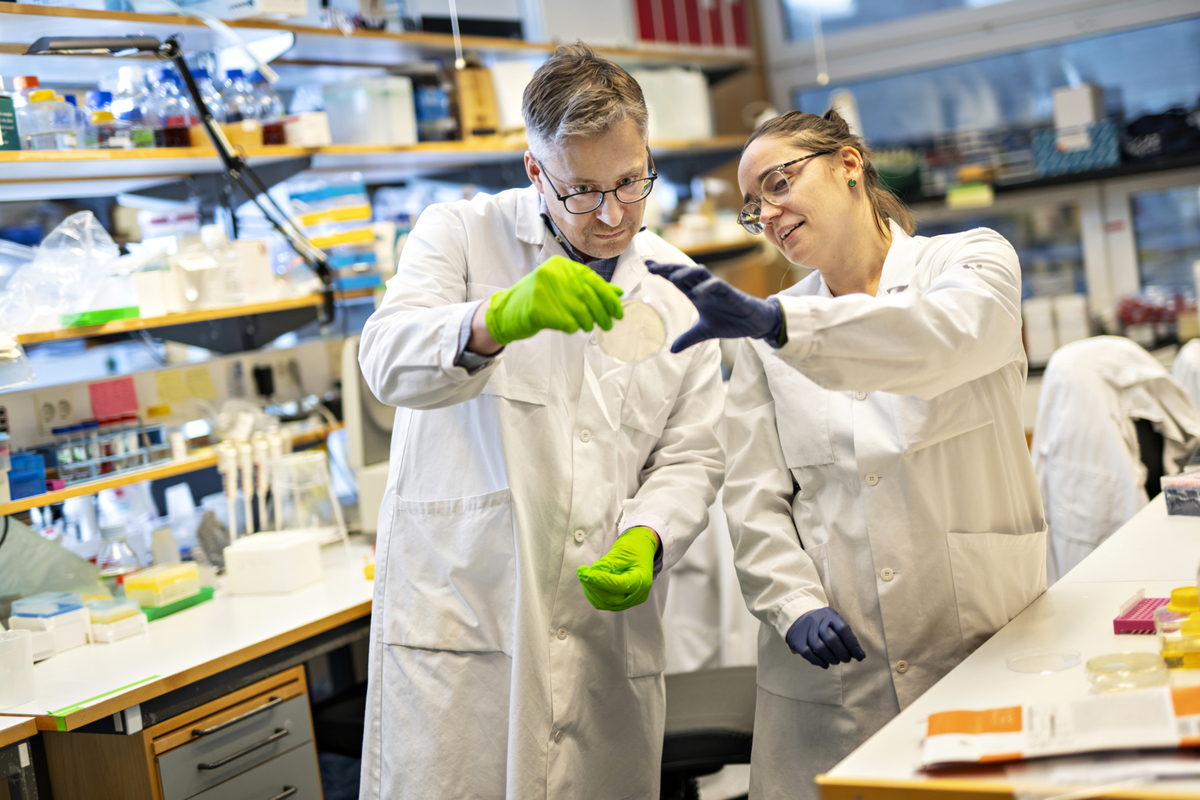 Doctoral student in immunotechnology focusing on data-driven precision ... image.