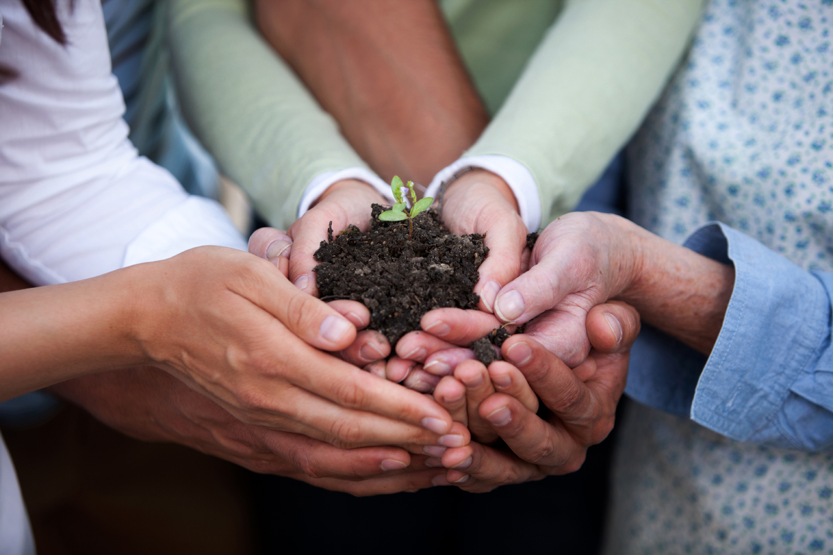 3652029-hands-holding-plant (1).jpg