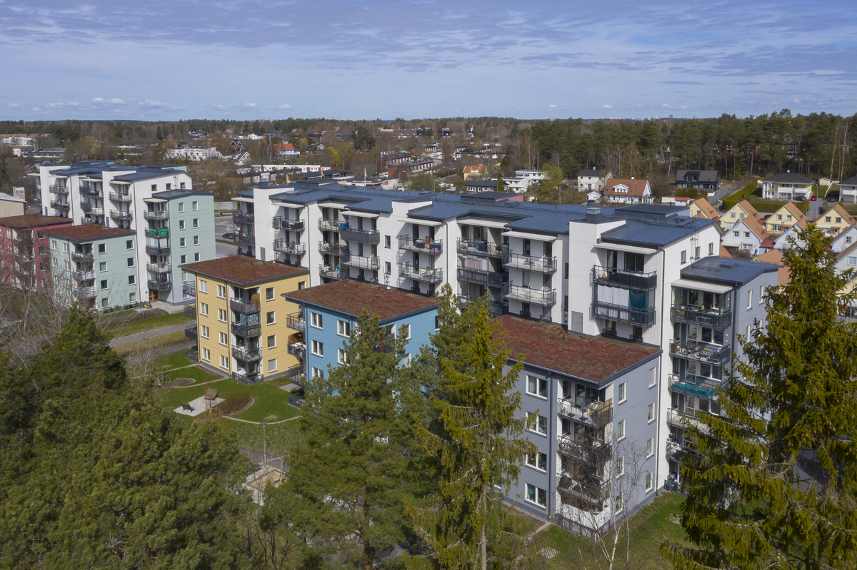 Hundlokan och Skogsklockan i Hässelby.jpg