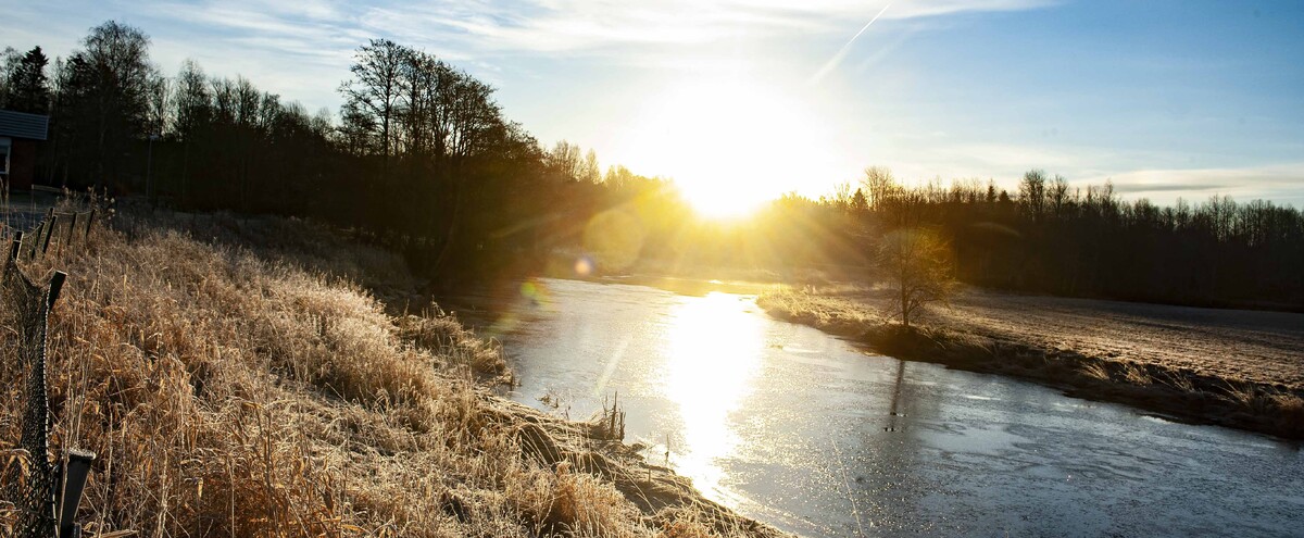 _DSC9855 toppbild.jpg