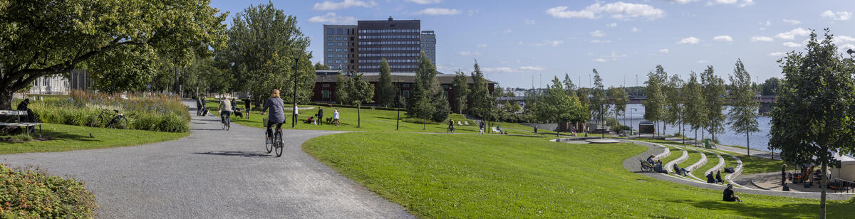 Sommarbild på umeå centrum