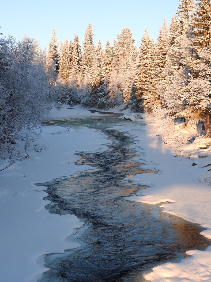 En vinterälv i solsken med snötäckta träd. 