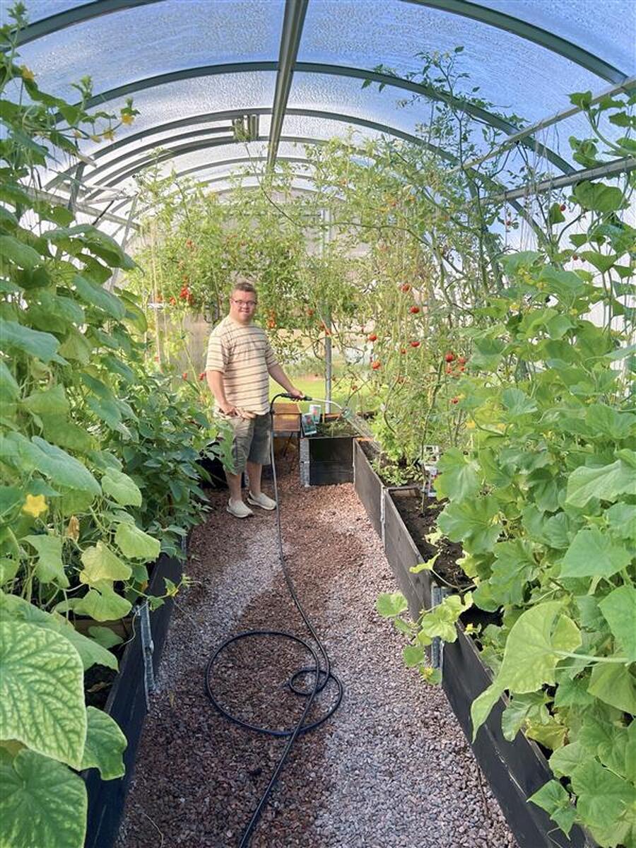 Pojke vattnar växter i växthus