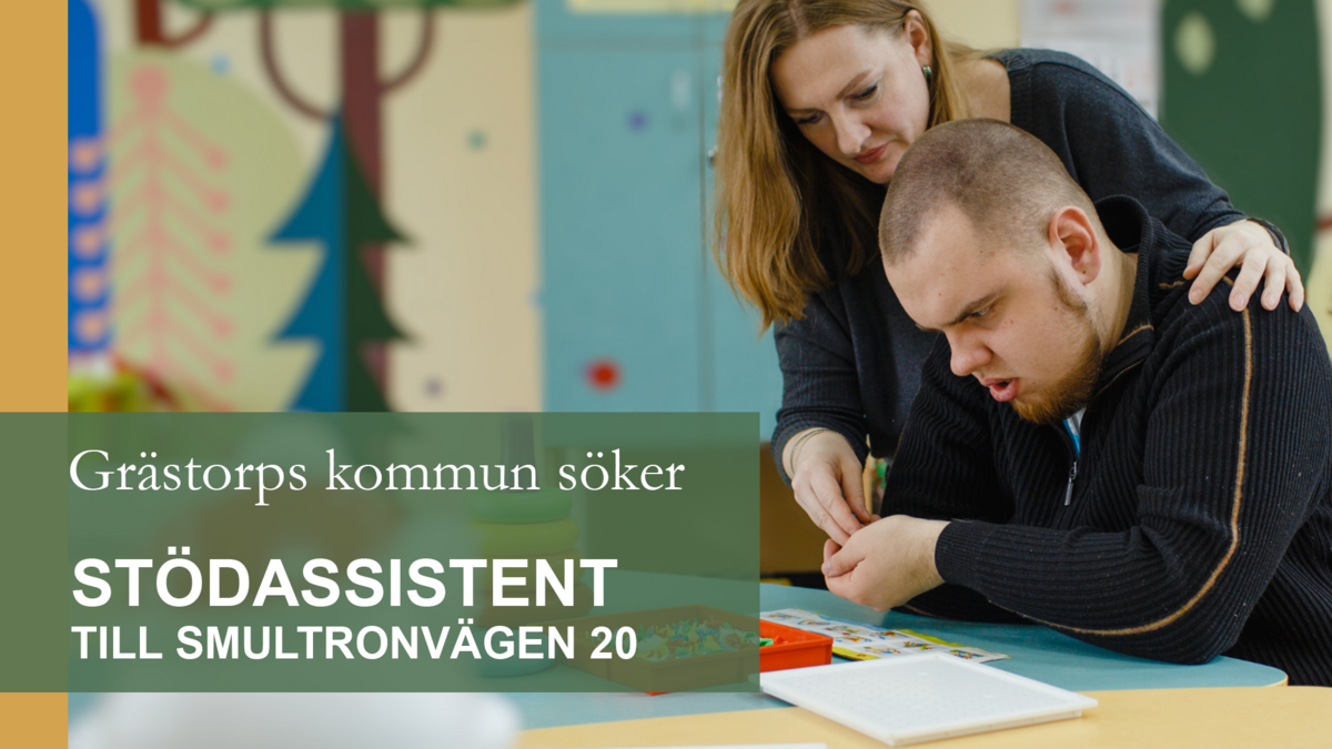 stödassistent smultronvägen.png