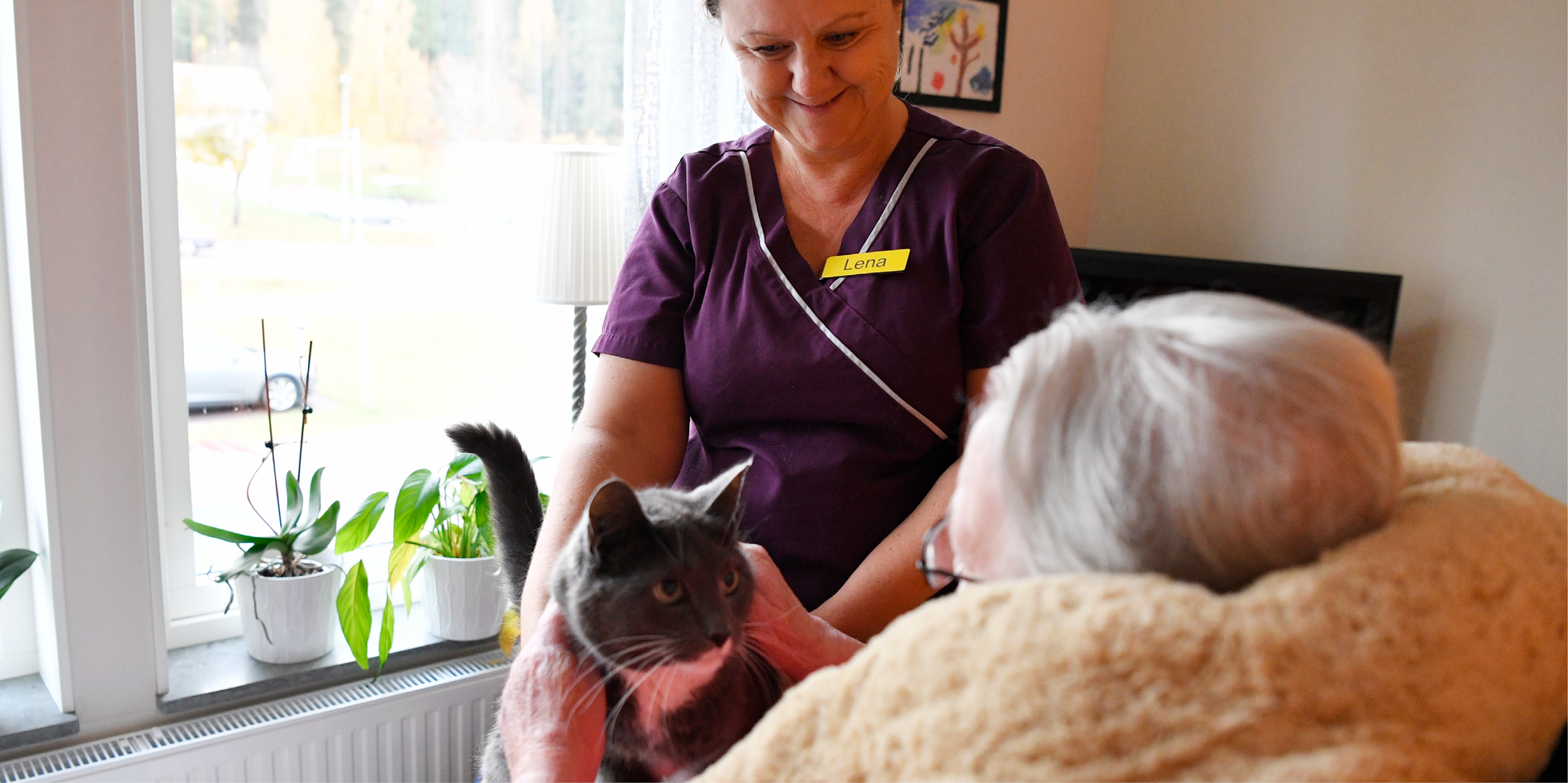 Den gråvita katten Grålle sitter i knät på en vårdtagare. Framför står en medarbetare i lila tunika. 