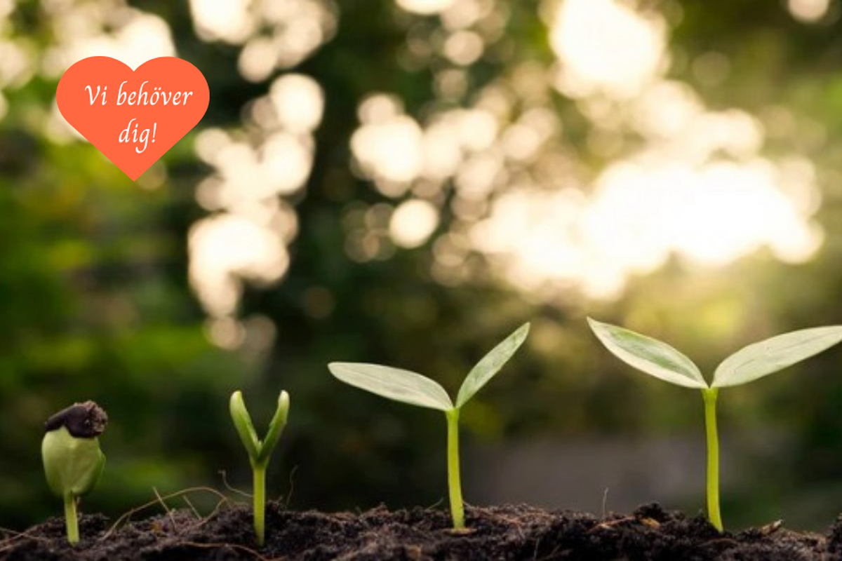 Vi behöver dig - groddar.png