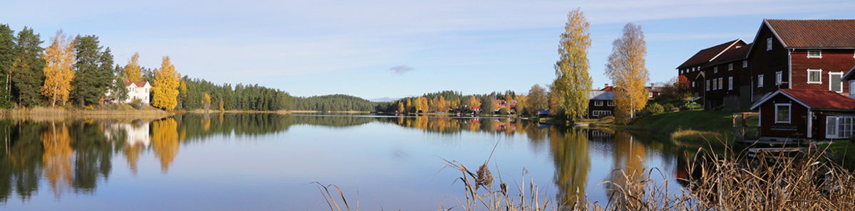 höst Gärdsjön_Foto M Litens.jpg