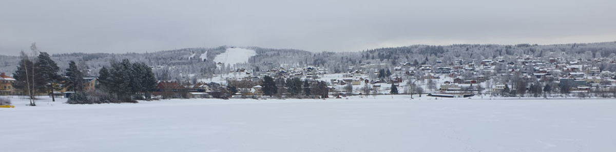 vinter sett från viken