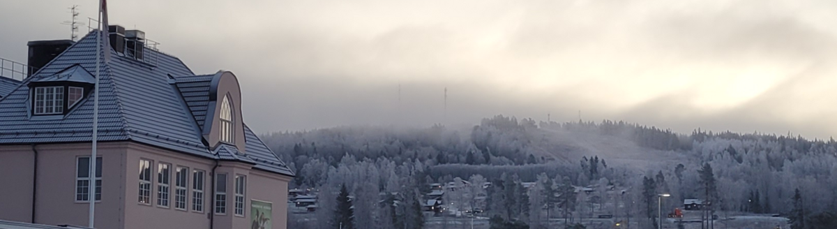 folkmusikenshus vinter.png