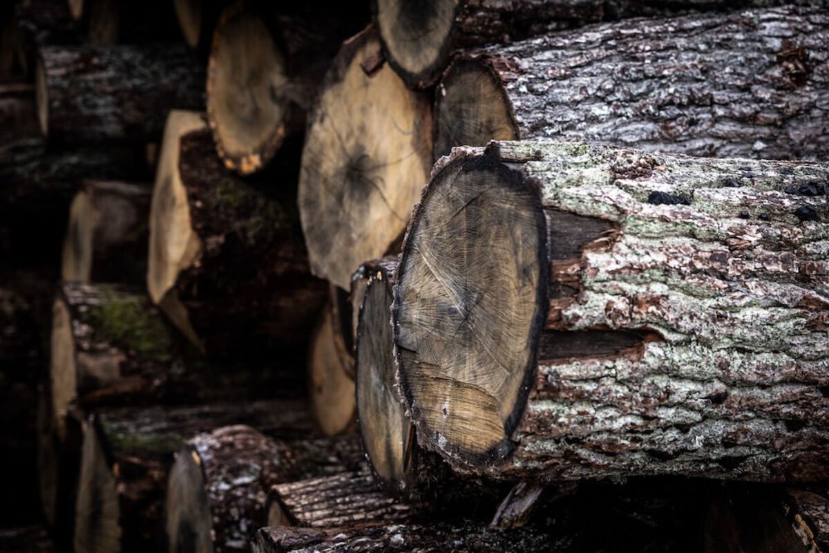 Preview-kahrs-nybro-factory-nature-wood-log_02.jpg