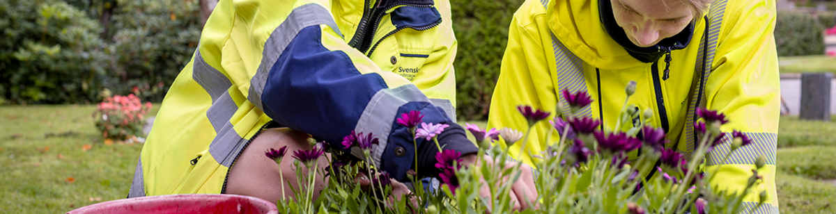 Kyrkogård blomplanetering.png