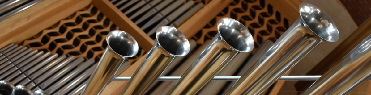 Organist Varbi.png